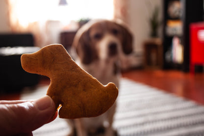 Bearded Baker Baked Beagle Biscuits