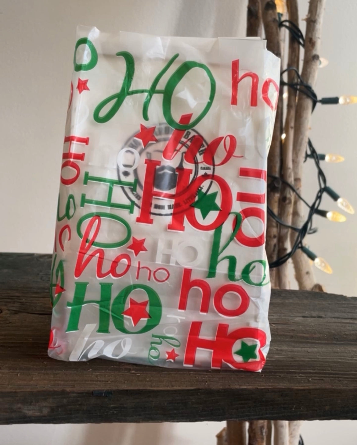 Holiday Gift Bag